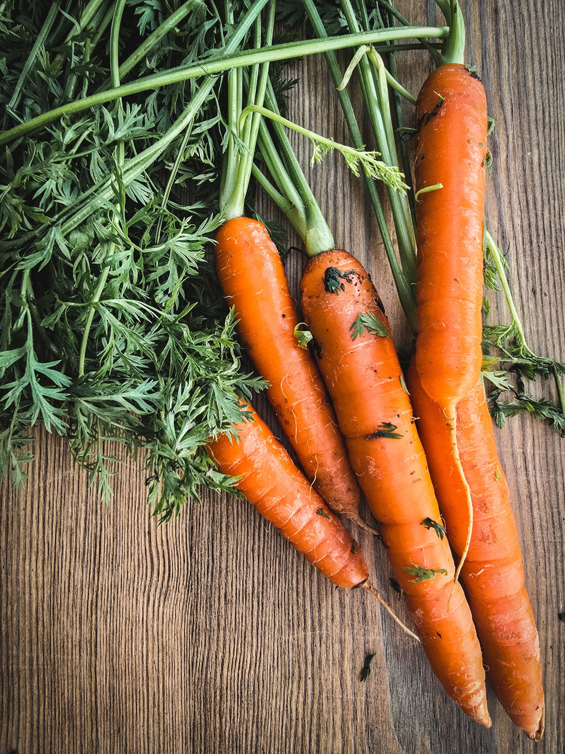 🥕 In The Spotlight: Carrots